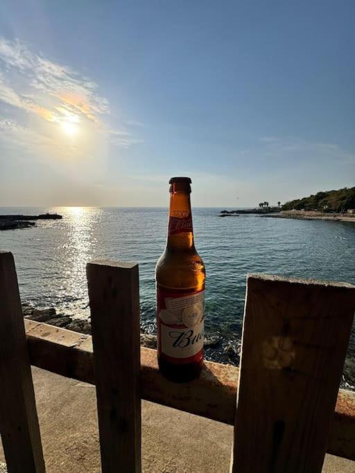 Akdeniz Tatil Evim