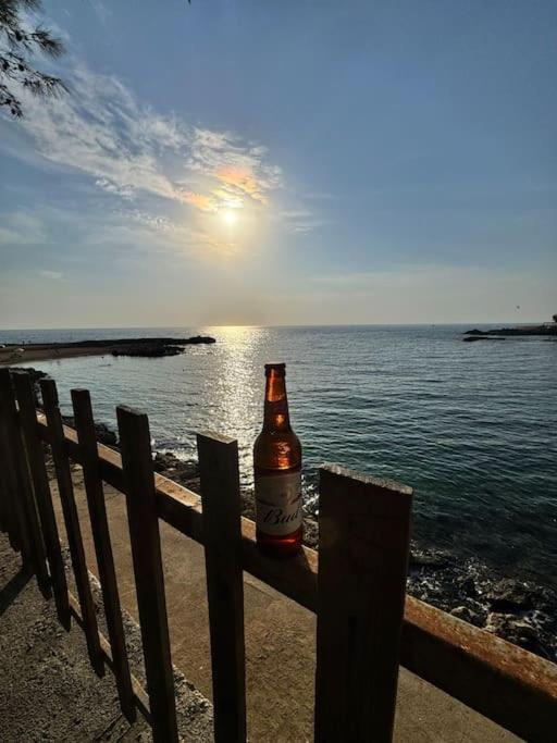 Akdeniz Tatil Evim Daire